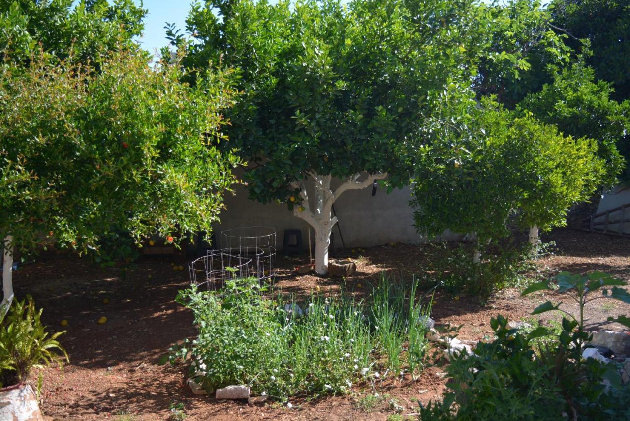 Sergios Village House Hanya Dış mekan fotoğraf