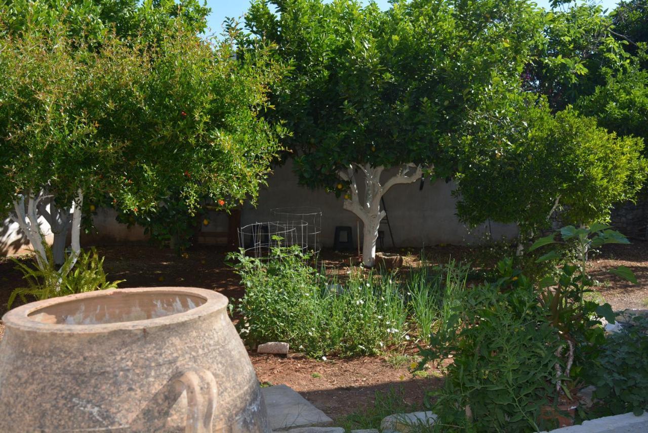 Sergios Village House Hanya Dış mekan fotoğraf