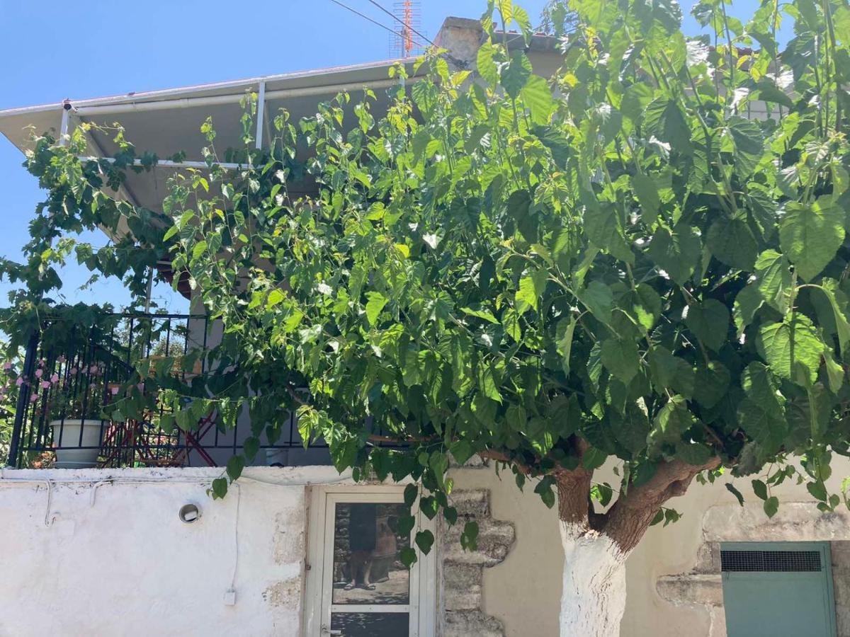 Sergios Village House Hanya Dış mekan fotoğraf