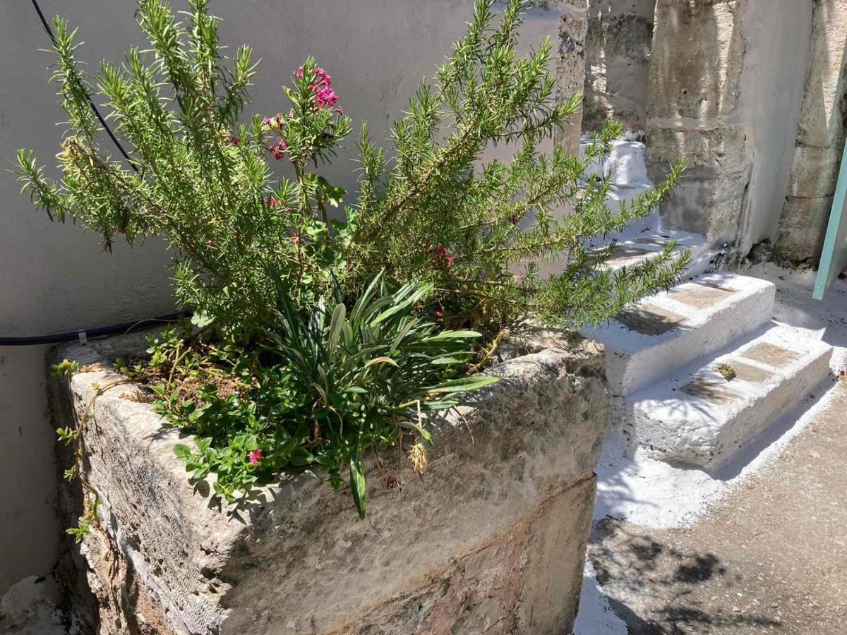 Sergios Village House Hanya Dış mekan fotoğraf