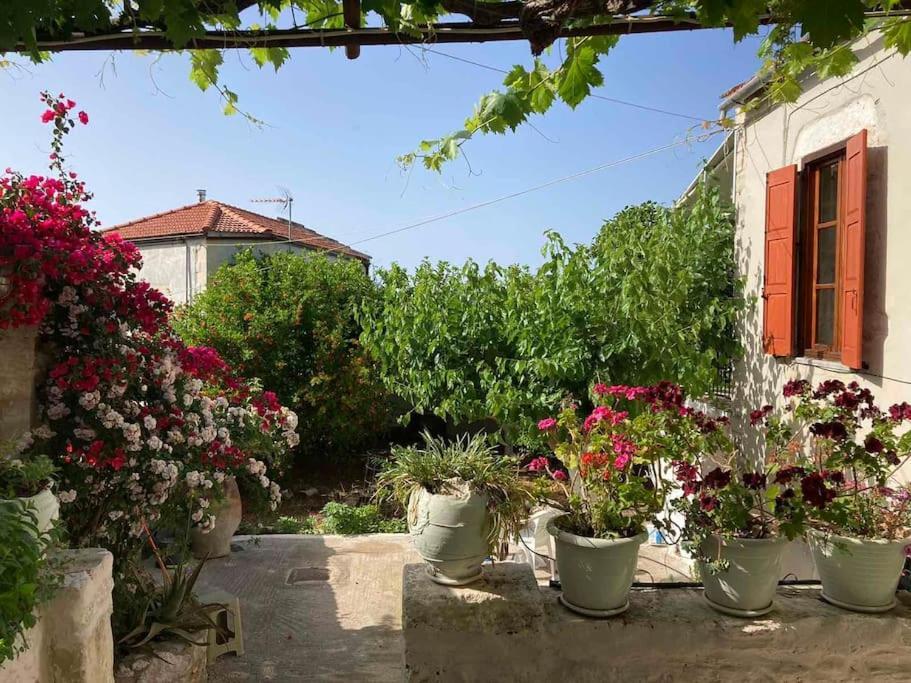Sergios Village House Hanya Dış mekan fotoğraf