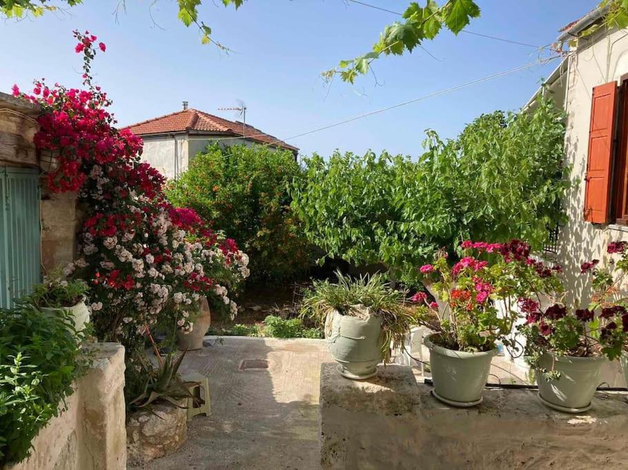Sergios Village House Hanya Dış mekan fotoğraf